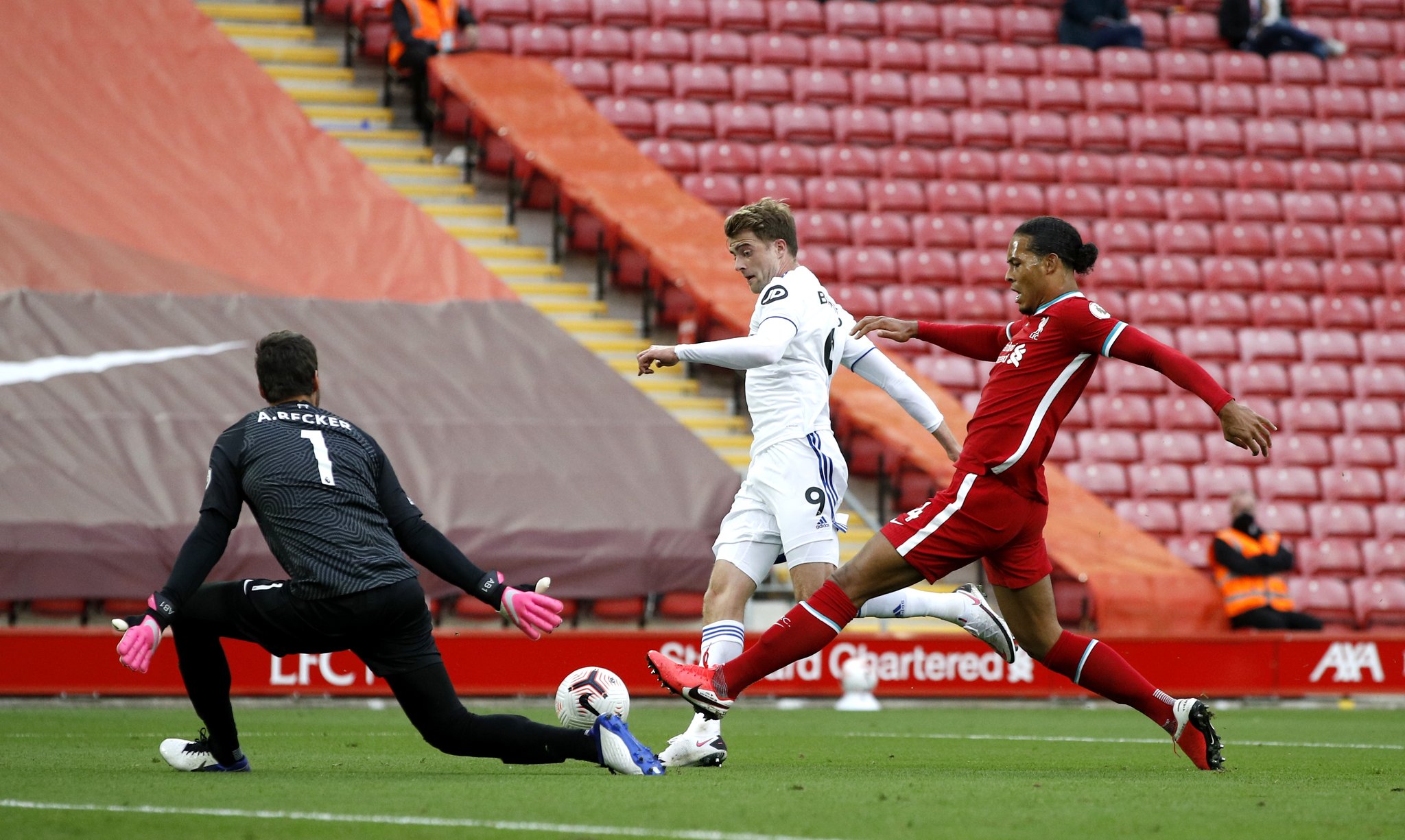 期待和惊喜 期待和惊喜