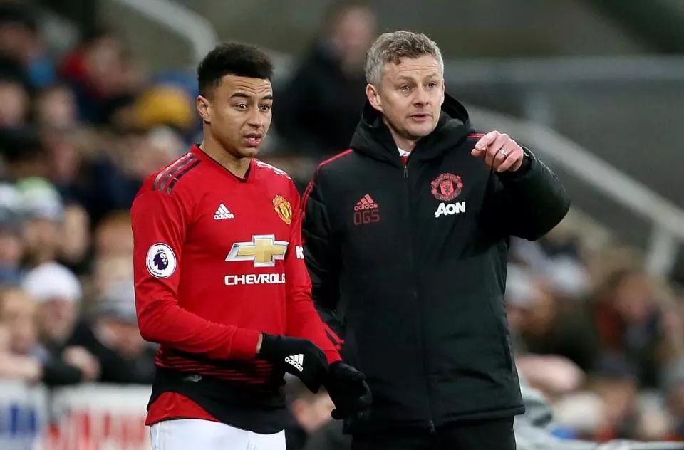 家队的新任 家队的新任